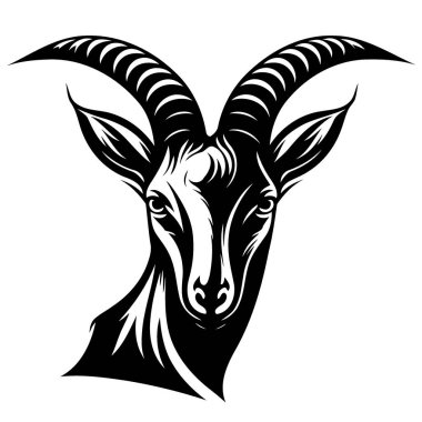 Vector illustration of animal head domestic goat of the species Capra hircus