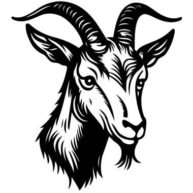 Vector illustration of animal head domestic goat of the species Capra hircus