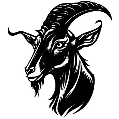 Vector illustration of animal head domestic goat of the species Capra hircus
