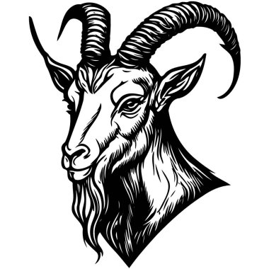 Vector illustration of animal head domestic goat of the species Capra hircus