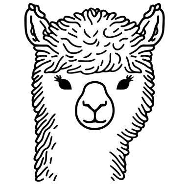 Vector illustration of camelid animal head called alpaca