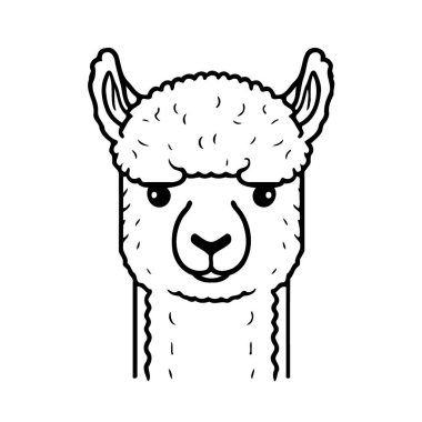 Vector illustration of camelid animal head called alpaca