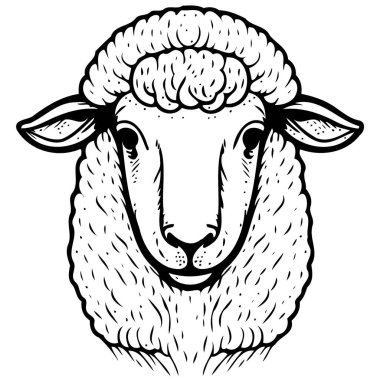 animal mammal sheep head isolated vector illustration