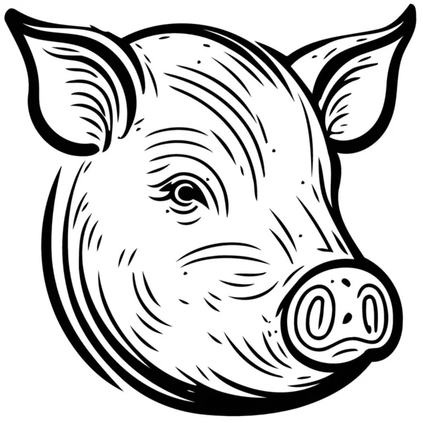 Pig farm animal farm mammal head isolated vector illustration