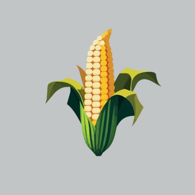 Koçan bitkisinin üzerinde olgun mısır renkli vektör çizimi
