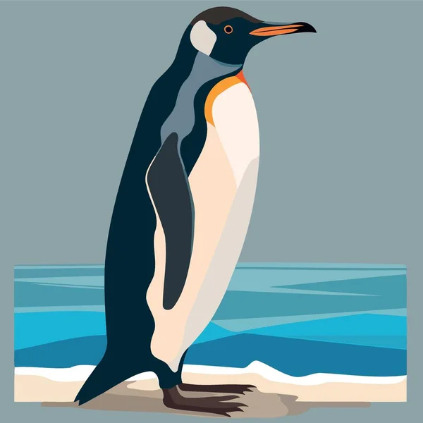 Animal Oiseau Pingouin Bleu Commun Illustration Vectorielle Minimaliste — Image vectorielle