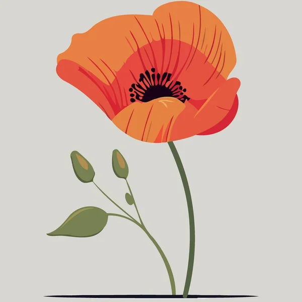 Illustration Vectorielle Minimaliste Une Fleur Pavot Rouge — Image vectorielle