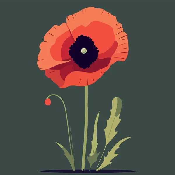 One Red Poppy Flower Minimalist Vector Illustration — Stock Vector