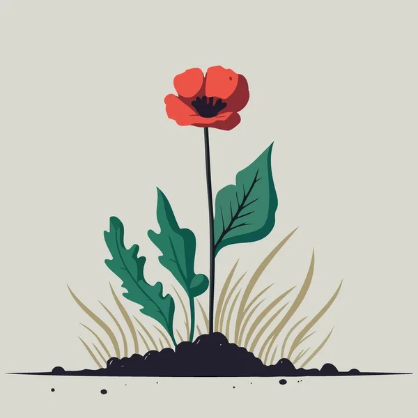 Jeden Czerwony Maku Kwiat Minimalistyczny Wektor Ilustracja — Wektor stockowy
