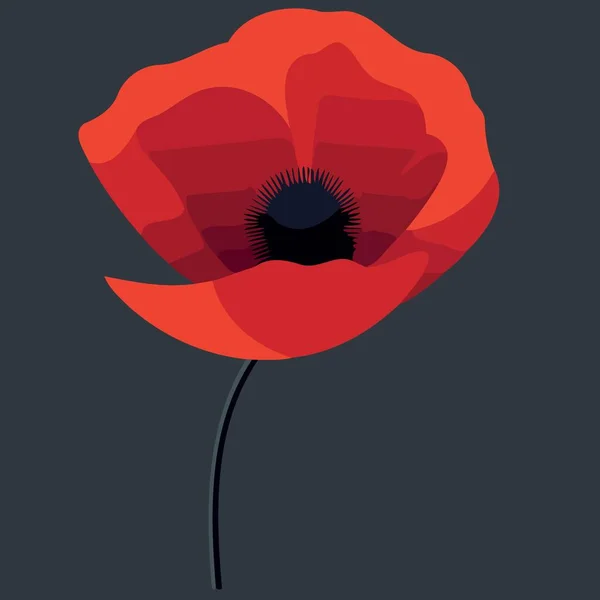 Illustration Vectorielle Minimaliste Une Fleur Pavot Rouge — Image vectorielle