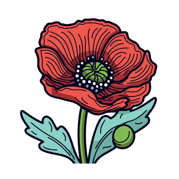 Одна Червона Макова Квітка Мінімалізм Векторні Ілюстрації — стоковий вектор