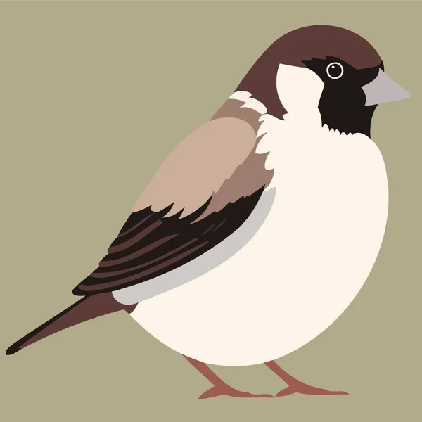 Zwierząt Ptak Wróbel Mężczyzna Minimalistyczny Wektor Ilustracja — Wektor stockowy