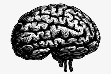 İnsan sinir sistemi beyin organı minimalist vektör çizimi