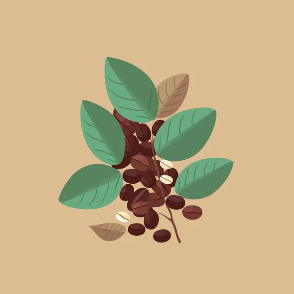 叶和咖啡豆简约矢量图解 — 图库矢量图片