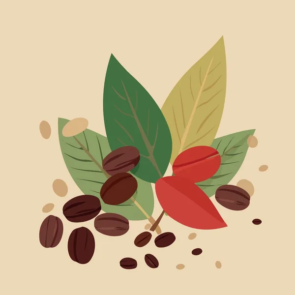 Yapraklar Kahve Çekirdekleri Minimalist Vektör Çizimi — Stok Vektör