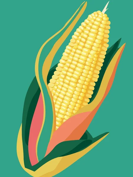 Reifer Mais Auf Dem Maiskolben Pflanzliche Nahrung Bunte Vektorillustration — Stockvektor