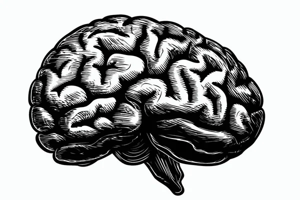 Ludzki Układ Nerwowy Mózg Organ Minimalistyczny Wektor Ilustracja — Wektor stockowy