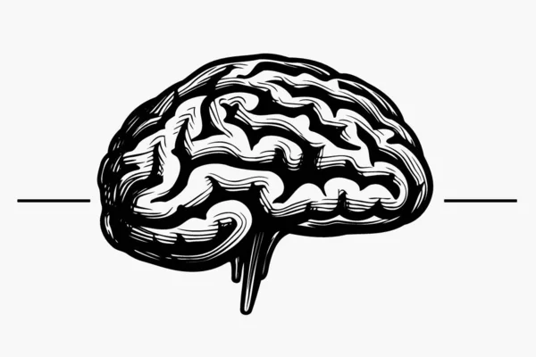 Ludzki Układ Nerwowy Mózg Organ Minimalistyczny Wektor Ilustracja — Wektor stockowy