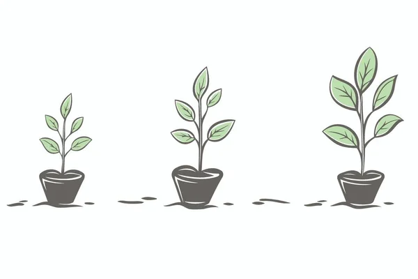 Három Növény Növekszik Három Fazekas Minimalista Vektor Illusztráció — Stock Vector