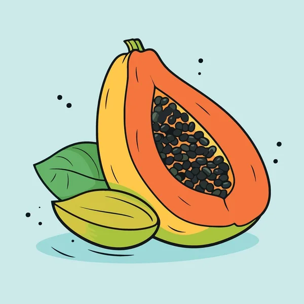 Fruta Papaya Cortada Ilustración Vectorial Medio Minimalista — Vector de stock