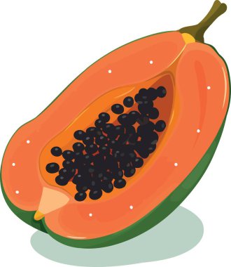Papaya meyvesi yarı minimalist vektör illüstrasyonunda kesilmiş