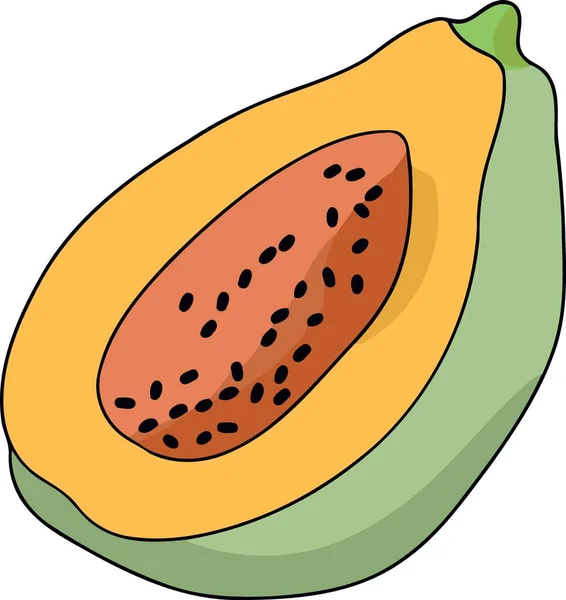 Fruta Papaya Cortada Ilustración Vectorial Medio Minimalista — Vector de stock