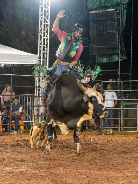 Itaja, Goias, Brezilya - 04 21 2023: rodeoda boğaya binen kovboy.