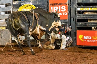 Itaja, Goias, Brezilya - 04 21 2023: rodeo arenasının zeminine düşen boğa binicisi