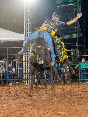 Itaja, Goias, Brezilya - 04 22 2023: rodeoda boğaya binen kovboy.