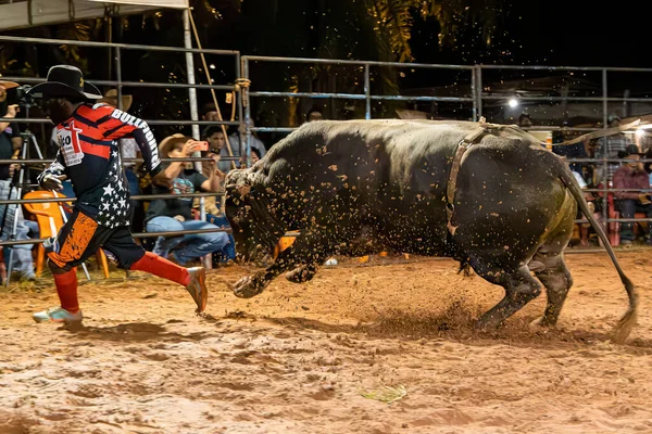 Itaja Goias Brezilya 2023 Rodeo Arenasında Boğayla Rodeo Hayat Kurtarıcı — Stok fotoğraf