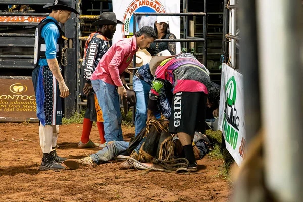 Itaja Goias Brazil 2023 Bull Rider Lying Ground Falling Bull — Stock Photo, Image