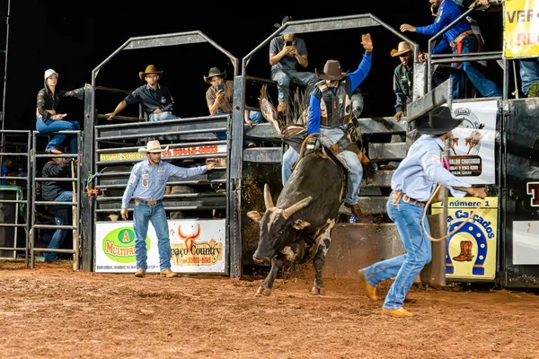 Itaja Goias Brazil 2023 Cowboy Man Riding Bull Practicing Bull — Stock Photo, Image