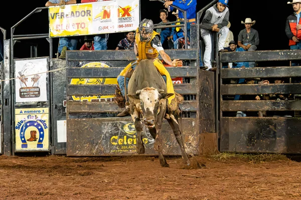 Itaja Goias Brasile 2023 Cowboy Che Cavalca Toro Che Pratica — Foto Stock