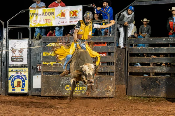Itaja Goias Brazylia 2023 Kowboj Jeżdżący Byku Ćwiczącym Rodeo — Zdjęcie stockowe