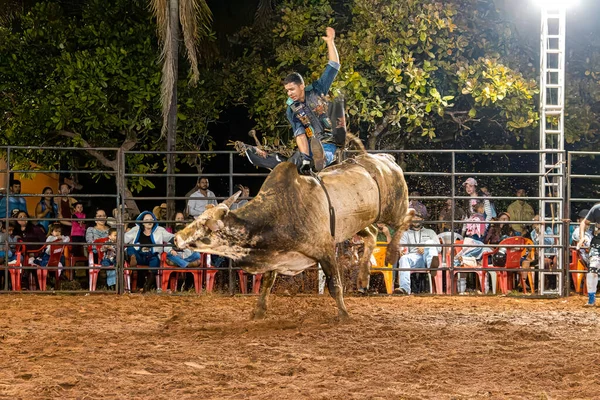 Itaja Goias Brasil 2023 Vaquero Montando Toro Practicando Toros Rodeo — Foto de Stock