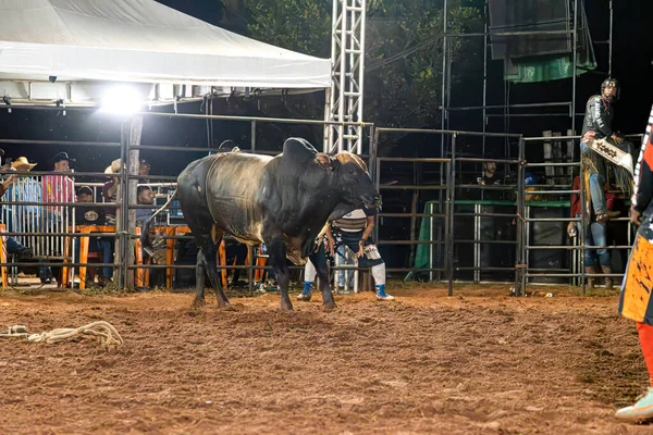 Itaja Goias Brasil 2023 Toro Evento Equitación Una Arena —  Fotos de Stock