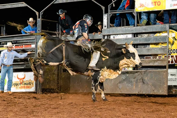 stock image Itaja, Goias, Brazil - 04 21 2023: cowboy man riding a bull practicing bull riding at a rodeo