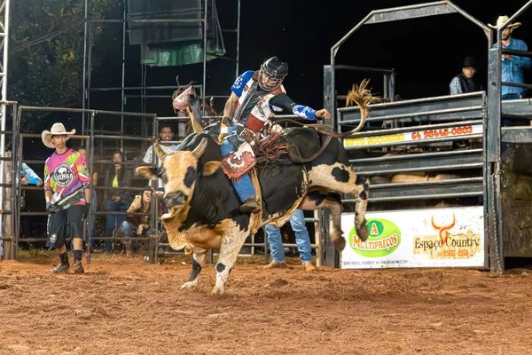 Itaja Goias Brazylia 2023 Kowboj Jeżdżący Byku Ćwiczącym Rodeo — Zdjęcie stockowe