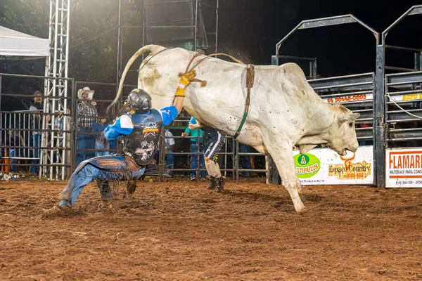 stock image Itaja, Goias, Brazil - 04 22 2023: rodeo rider falling off the bull in bull riding in the arena