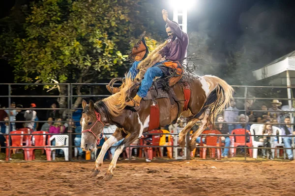 イタハ ガイアス ブラジル 2023年 Cutianoと呼ばれる乗馬モダリティのビデオイベント — ストック写真