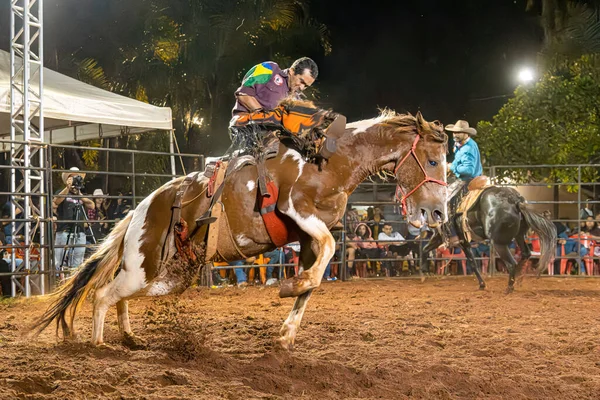 Itaja Goias Brasil 2023 Evento Rodeo Modalidad Equitación Llamada Cutiano — Foto de Stock