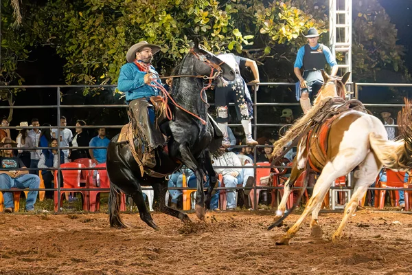 stock image Itaja, Goias, Brazil - 04 22 2023: rodeo event in the horse riding modality called cutiano