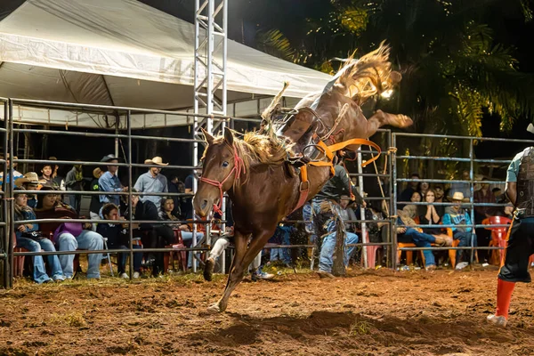 Itaja Goias Brazil 2023 Rodeo Event Horse Riding Modality Called — Stock Photo, Image