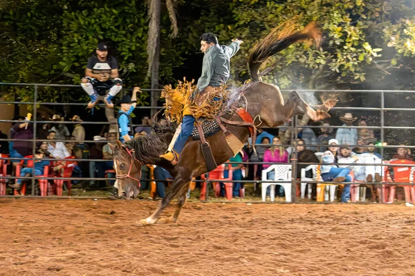 Itaja Goias Brasil 2023 Evento Rodeo Modalidad Equitación Llamada Cutiano —  Fotos de Stock