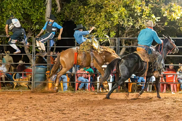 Itaja Goias Brazilië 2023 Rodeo Evenement Ruitersport Genaamd Cutiano — Stockfoto