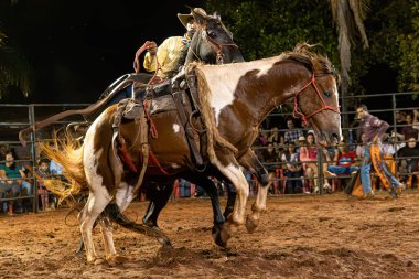 Itaja, Goias, Brezilya - 04 22 2023: cutiano adı verilen rodeo etkinliği