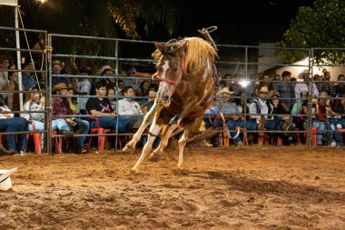 Itaja, Goias, Brezilya - 04 22 2023: cutiano adı verilen rodeo etkinliği