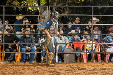 Itaja, Goias, Brezilya - 04 23 2023: Geceleri bir rodeo arenasında boğa biniciliği etkinliği