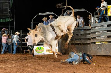 Itaja, Goias, Brezilya - 04 23 2023: Gece rodeo arenasında boğa biniciliği etkinliği