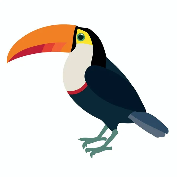 Animal Pájaro Tucán Pie Ilustración Vector Minimalista — Vector de stock